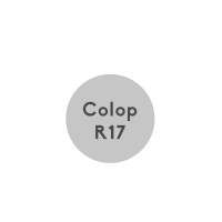 Stempelplatte Colop Printer R17